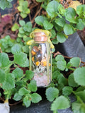 Spelljar Glück – handgefertigtes Wunschglas | Akashic Soul Garden – handgefertigt von Steffi